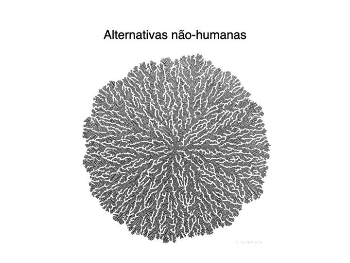 Slide sobre o humanismo de dados de Giorgia Lupi